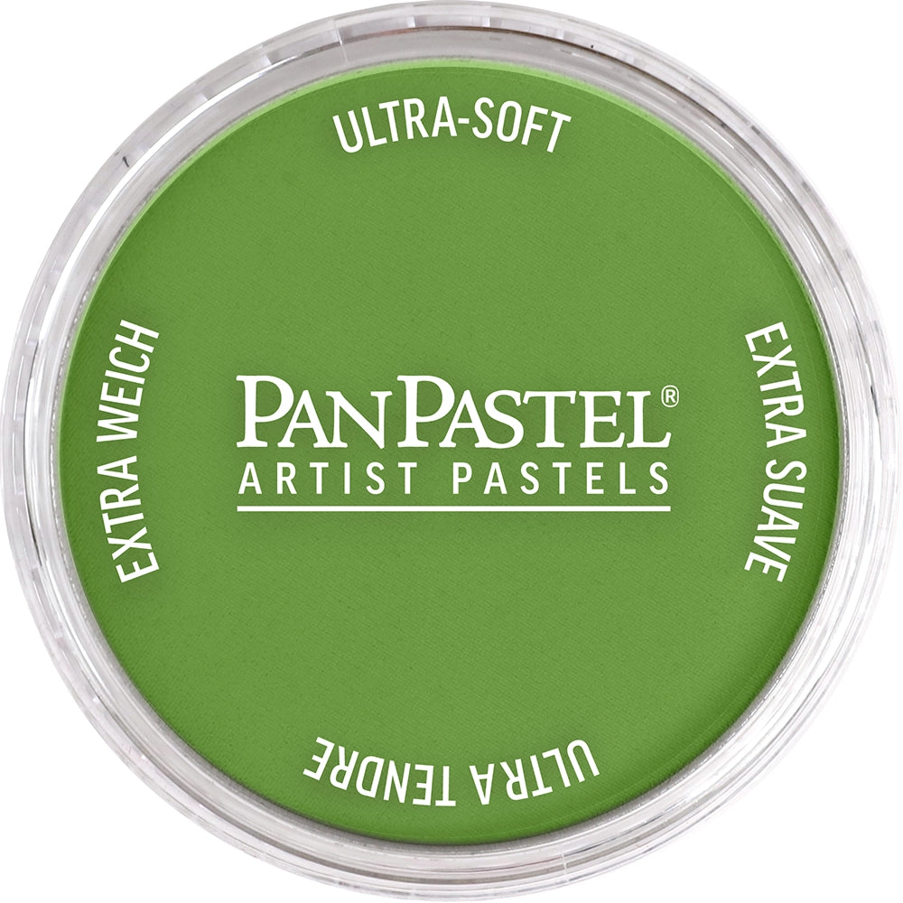 PanPastel Artist pastelės indelyje