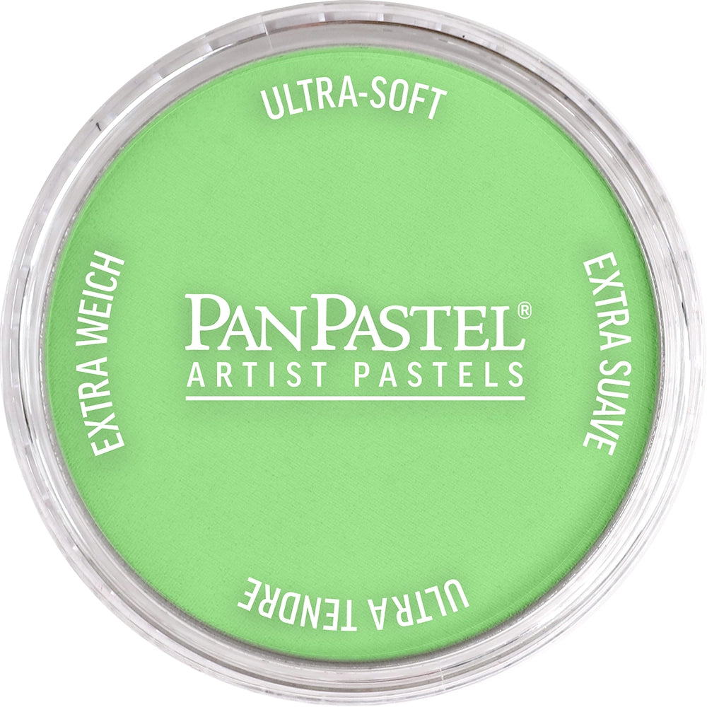 PanPastel Artist pastelės indelyje