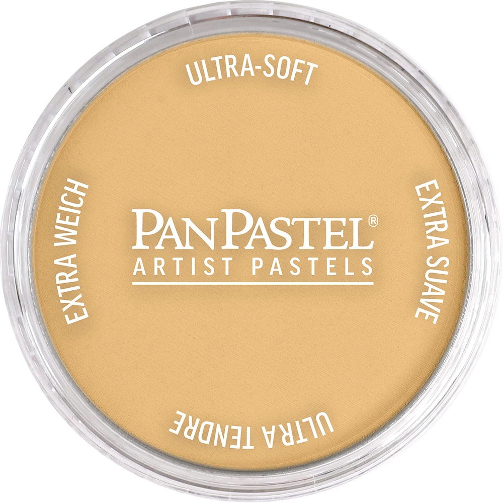 PanPastel Artist pastelės indelyje