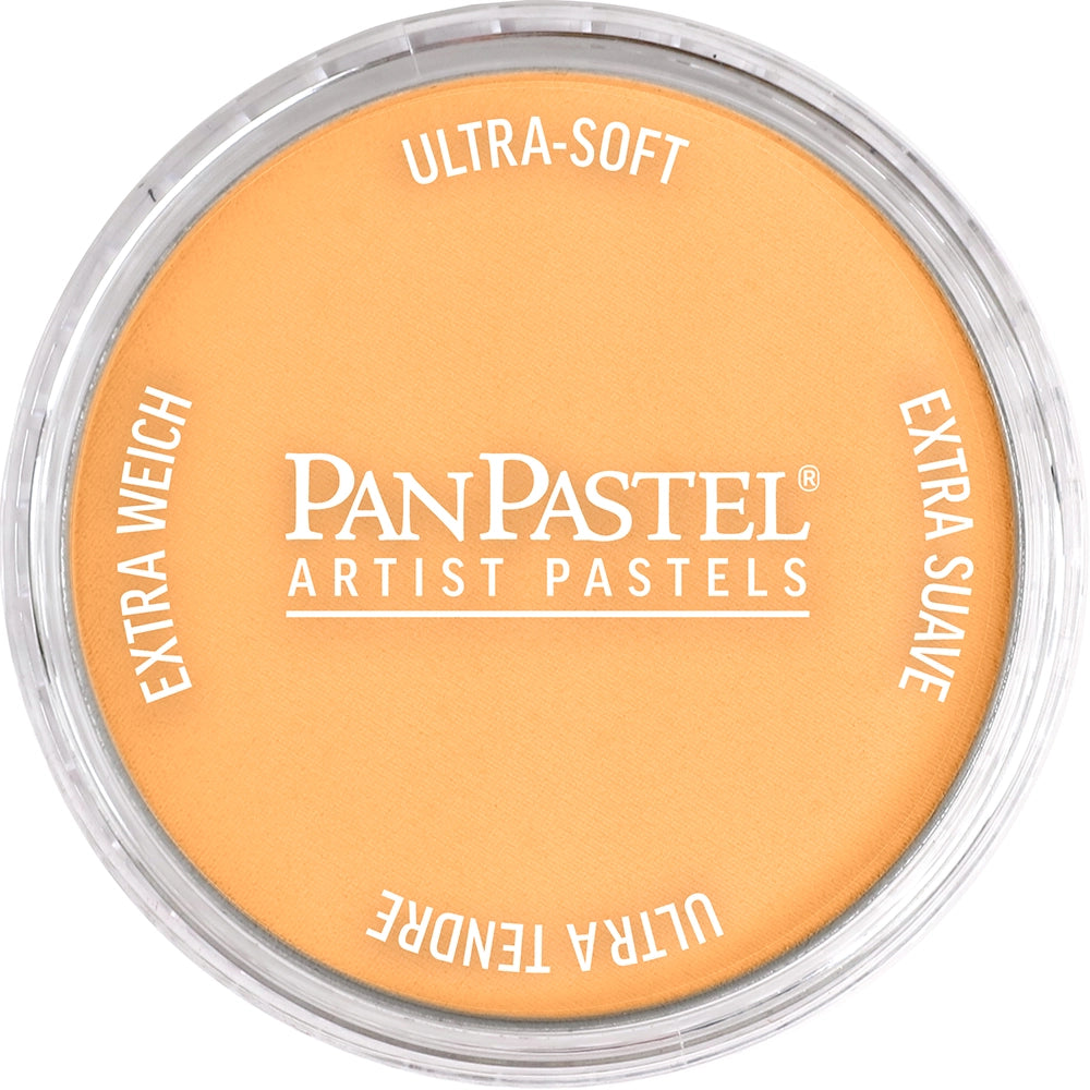 PanPastel Artist pastelės indelyje