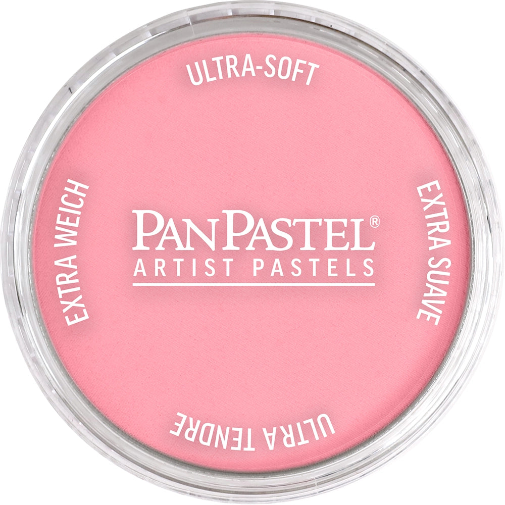 PanPastel Artist pastelės indelyje