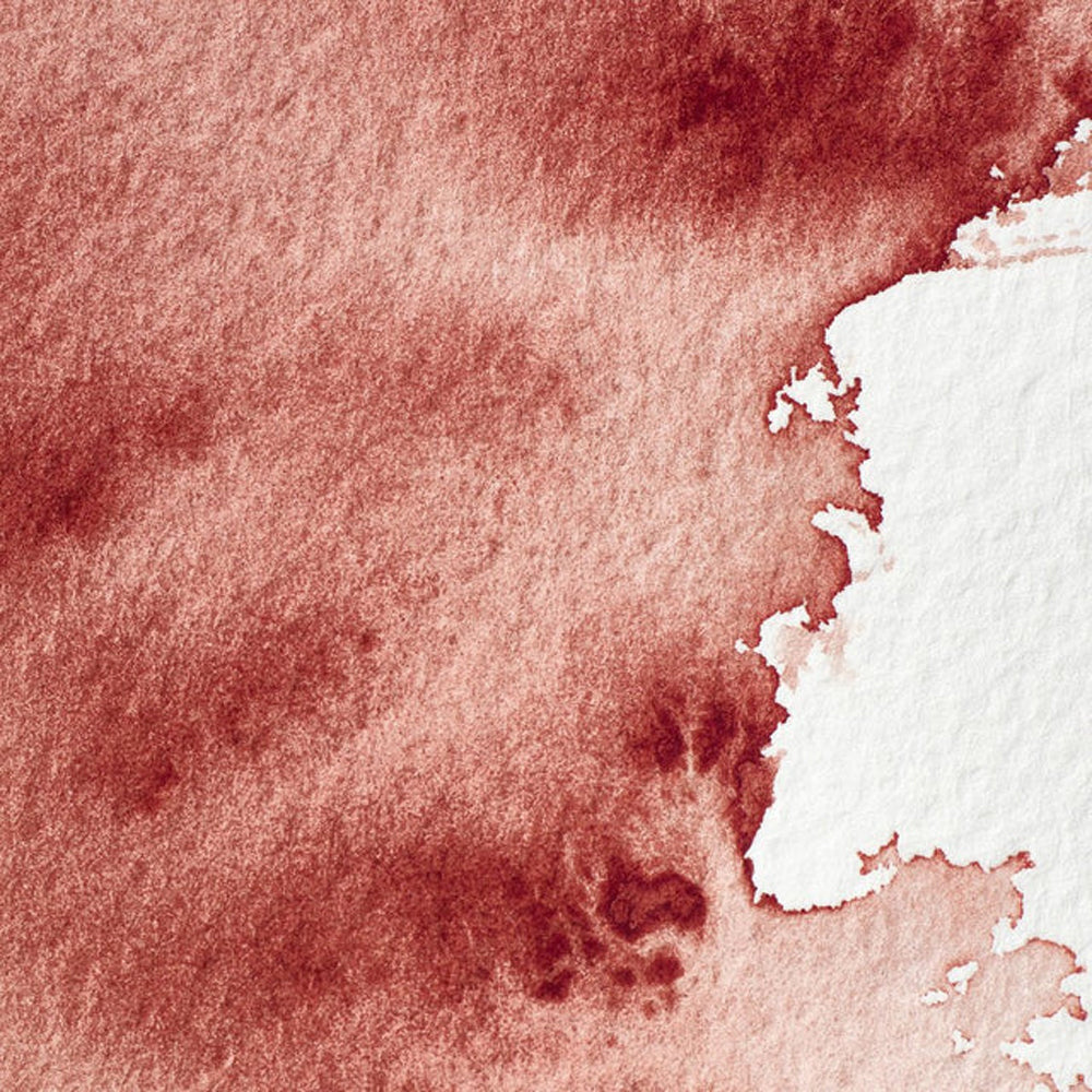 Winsor & Newton Professional akvarelės kubeliai