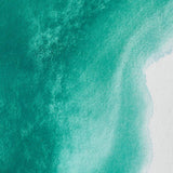 Winsor & Newton Professional akvarelės kubeliai