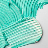 Liquitex Professional elastinga modeliavimo pasta