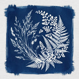 Jacquard Cyanotype popieriaus jautrinimo šviesai miltelių rinkinys
