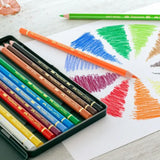 Faber-Castell Polychromos Colour Pencils Set in a Tin Box, 12 colours