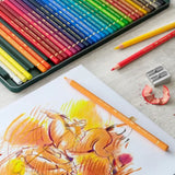 Faber-Castell Polychromos spalvotų pieštukų rinkinys metalinėje dėžutėje, 36 spalvos