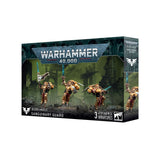 Warhammer 40,000 Blood Angels: Sanguinary Guard miniatiūrų surinkimo rinkinys