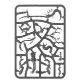 Warhammer Age of Sigmar Spearhead: Sylvaneth miniatiūrų rinkinys