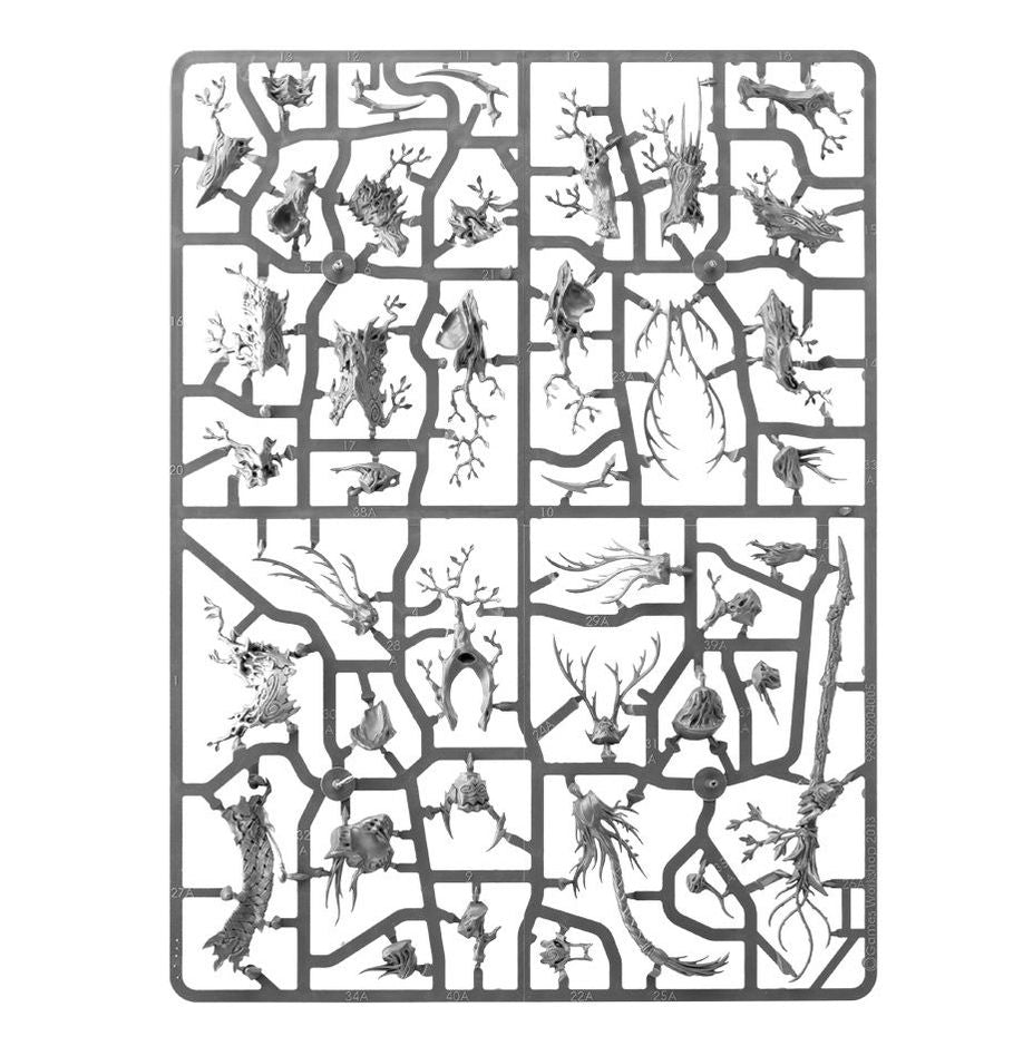 Warhammer Age of Sigmar Spearhead: Sylvaneth miniatiūrų rinkinys