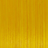 Michael Harding Oil Paint