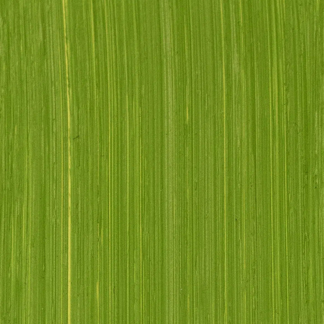 Michael Harding Oil Paint, Colours 1-62 (Part 1/2)